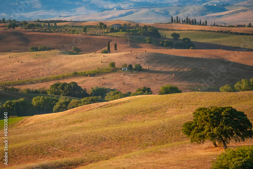 Obraz na plátně Paesaggio in Val d'Orcia, Siena, Toscana