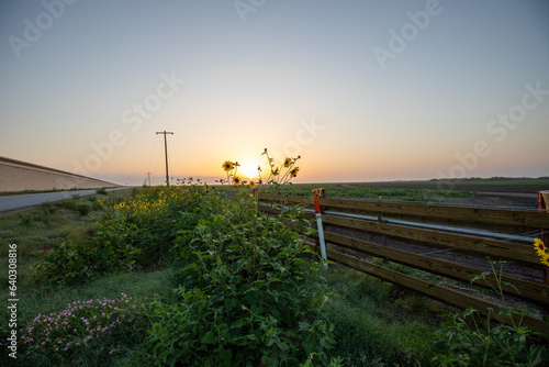 Texas Sunset