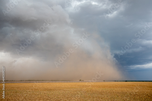 Severe Storm © NZP Chasers