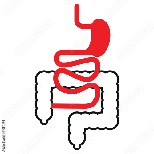 Minimalistic scheme of the digestive system. Medical, vector illustration