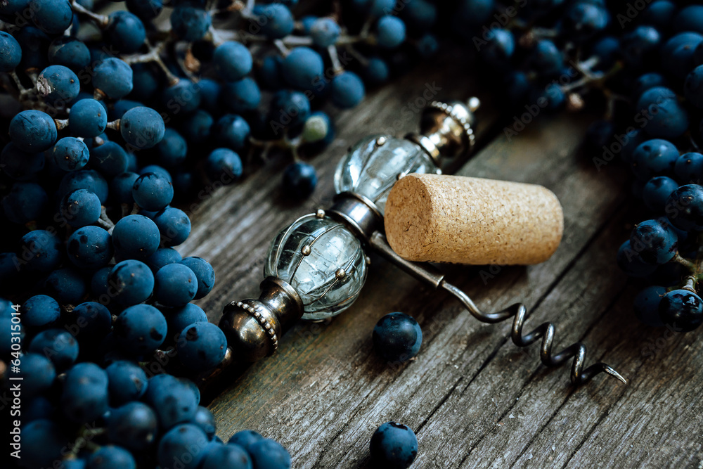 vintage corkscrew with corck  inside of ripe grapes lay on a rustic wood table. Concept of autumn, vineyards, winemaking,