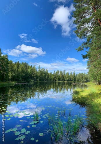 Summer wilderness lake and forest scenery with blue water and sky with white clouds, vertical
