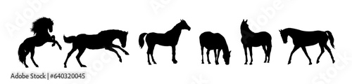 Set of horse silhouettes, running horse - vector illustration