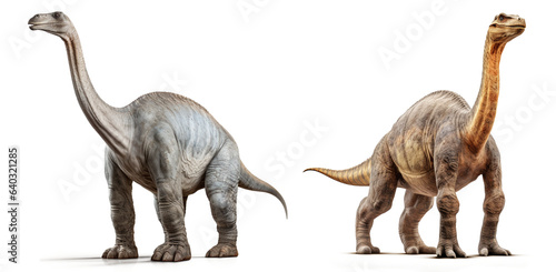 Brontosaurus Collection of Dinosaurs Isolated on transparent background © Mrs__DoubleF