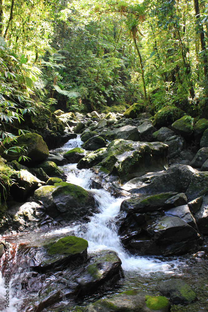 waterfall in the forest waterfall in the forest