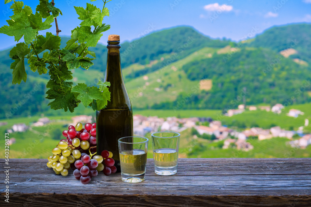 bottle of white wine, glass of wine and bunch of grapes with italian vineyards in the background.