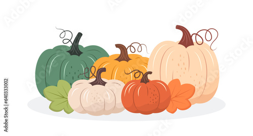 Colorful pumpkins fall design. Vector illustration in flat style