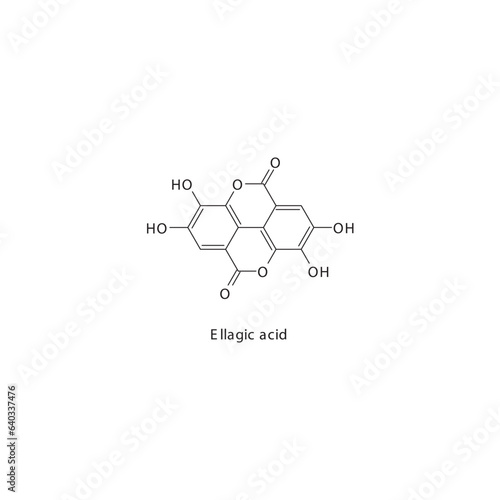Ellagic acid  flat skeletal molecular structure Keratolytic agent drug used in hyperpigmentation treatment. Vector illustration.