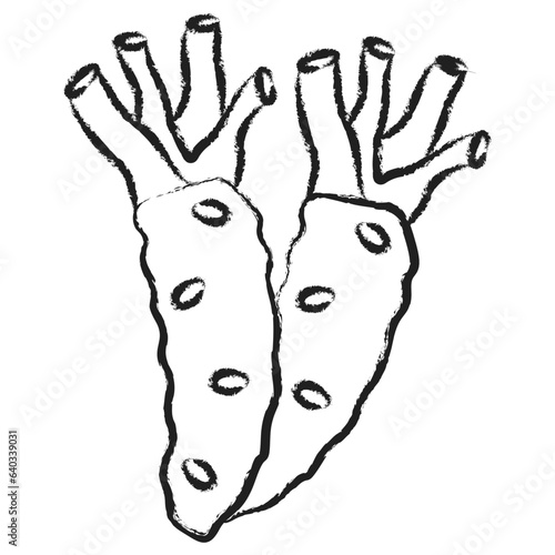 Hand drawn Wasabi icon