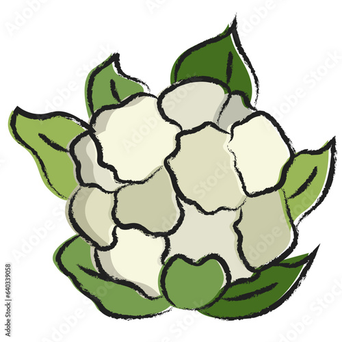 Hand drawn Cauliflower icon