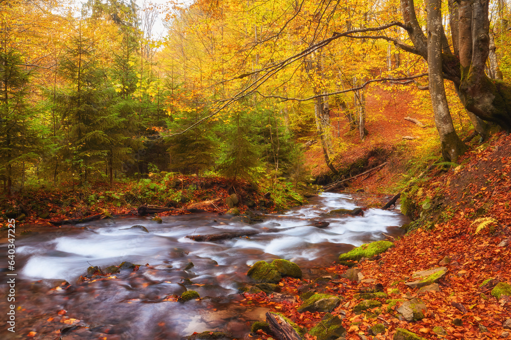 Majestic Autumn River Serenely Flowing Through the Mountainous Forest