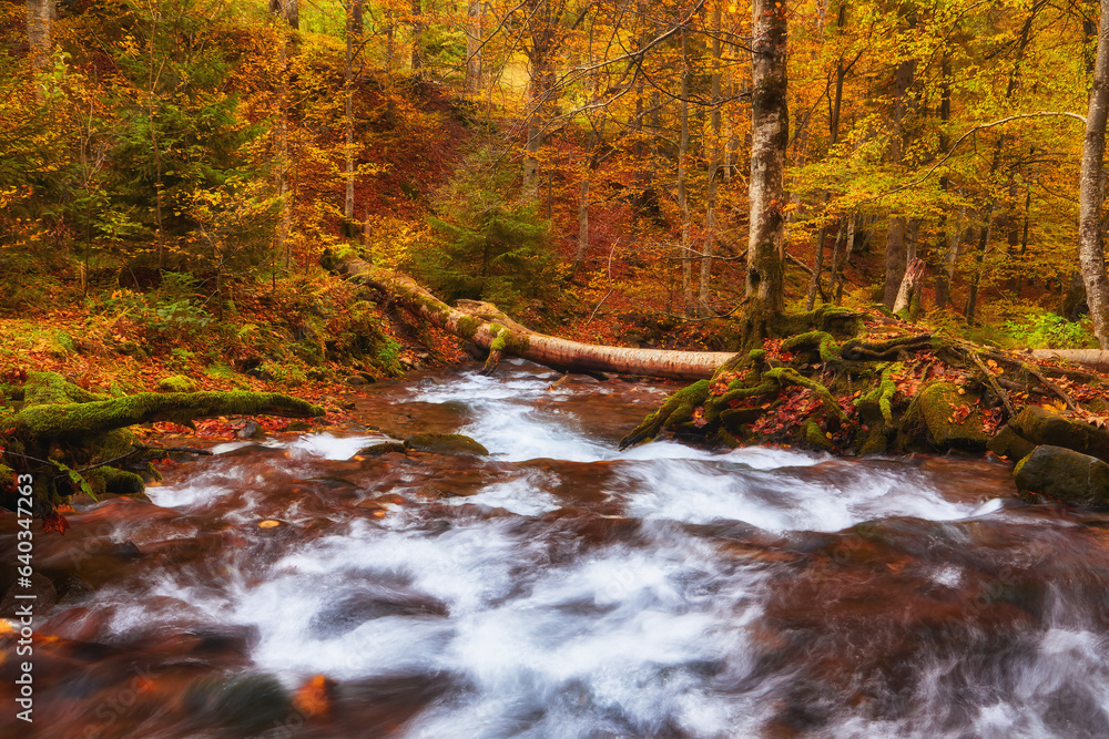 Majestic Autumn River Serenely Flowing Through the Mountainous Forest