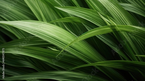 A detailed view reflecting the intricate patterns and textures of grass leaves.