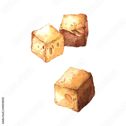 Crackers, croutons. Cruton. Fried slices of white bread. Breadcrumbs. Watercolor illustration of food.