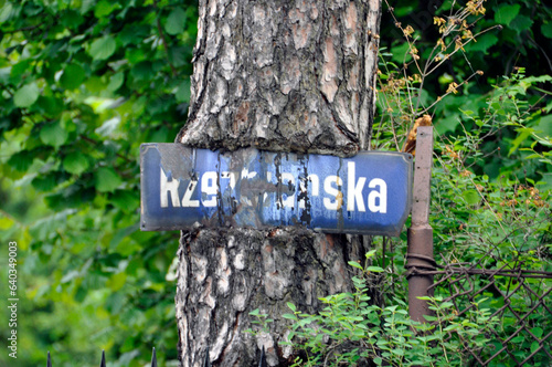Drzewo z wrośniętą tablicą z nazwą ulicy © JAROSLAW