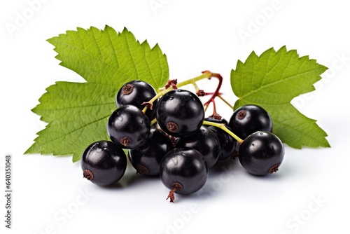 black currant with leaves
