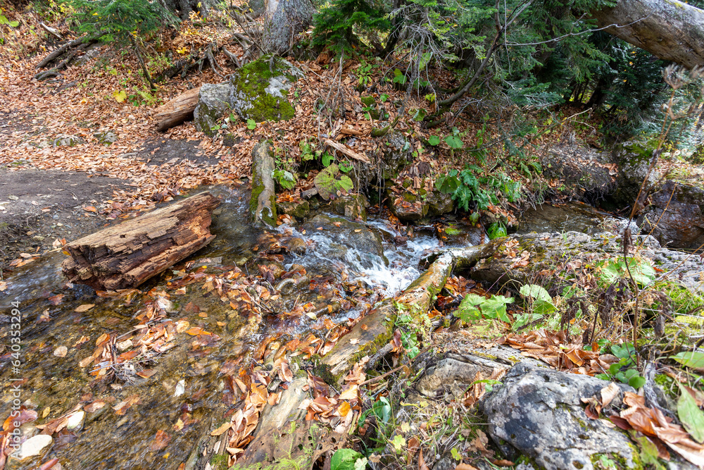 the beginning of autumn, nature walks, mountain river, infrastructure and panoramic views of the mountains, hiking trails and recreation in the mountains. the beginning of autumn, nature walks, mountain river, infrastructure and panoramic views of the mountains, hiking trails and recreation in the mountains.