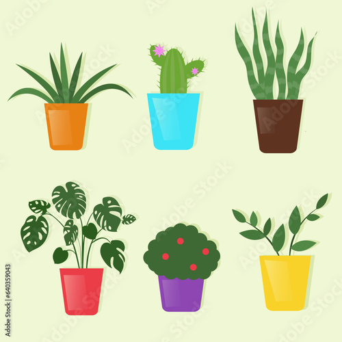 vector collection of indoor plants  home plants