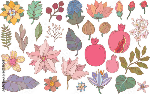Pomegranate fruit, flowers, leaves and plants.