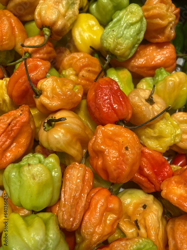Cumari pepper from Pará (Brazil) on display at the market. photo