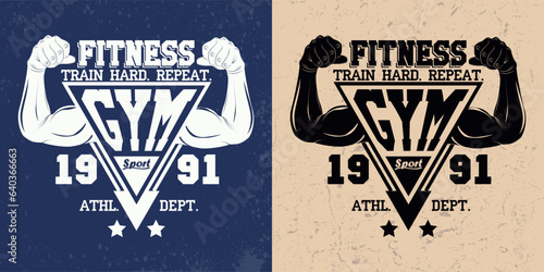 Vintage emblems or tee shirt print design