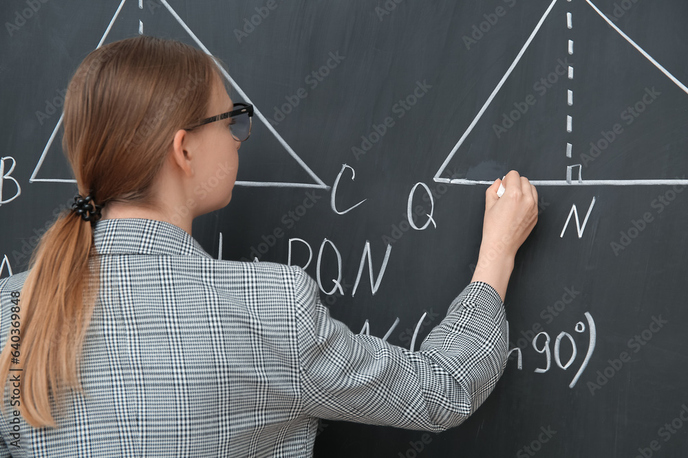 Young math teacher writing on blackboard in classroom, back view