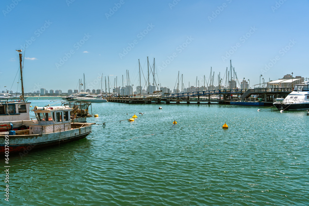 Fototapeta premium Boats in harbor of Punta del Este, Uruguay. 