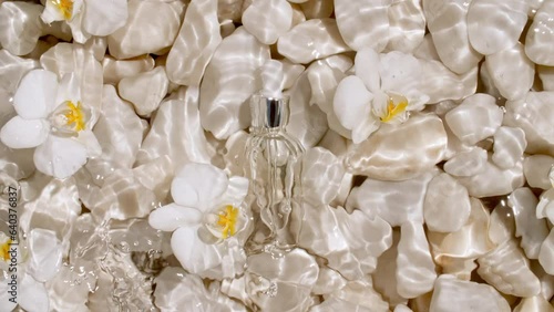 Glass cosmetic bottle with pipette and orchid flowers lies on pebbles from the beach. Sea Waves On pebbles. Water surface texture. Sun and shadows. Women's cosmetics skincare. Design, advertising. 