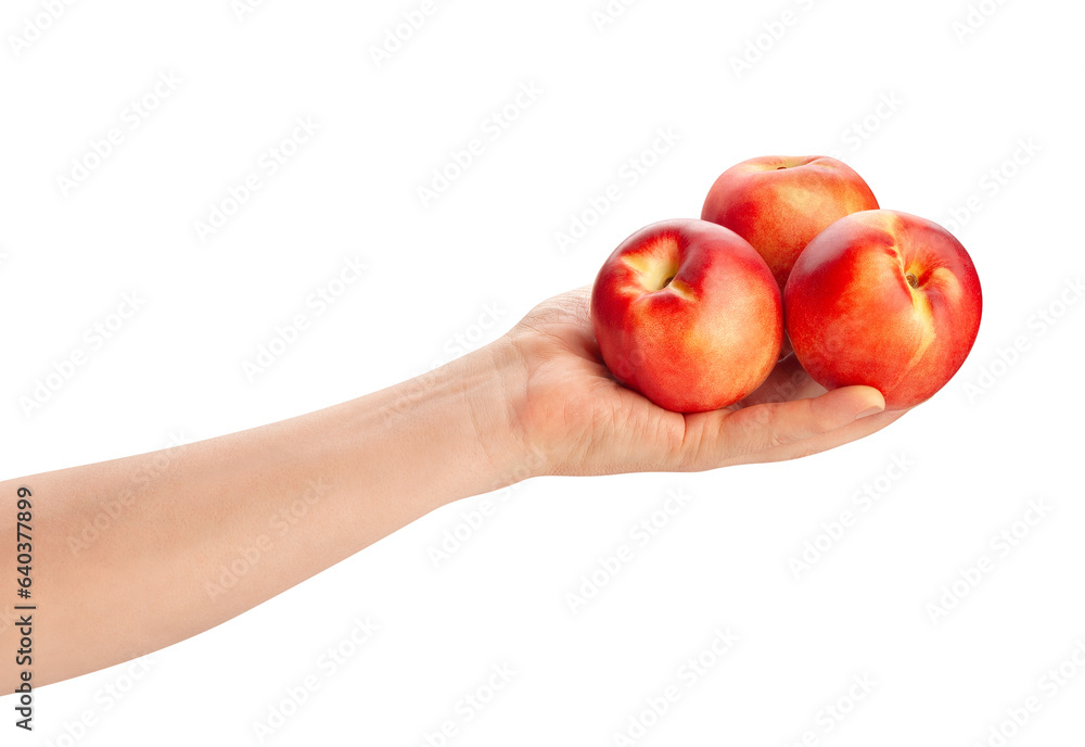 white nectarine in hand path isolated on white white nectarine in hand path isolated on white