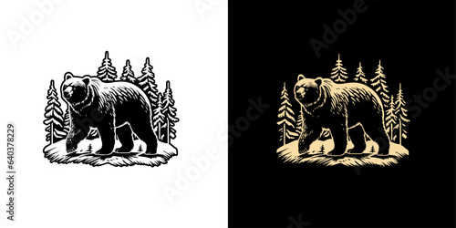 Beautiful outdoor bear in forest handdrawn vintage vector illustration