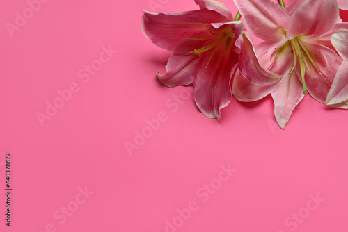 Beautiful lily flowers on pink background © Pixel-Shot