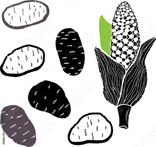 Potatoes and corn. Texture graphic elements. Vector set, collection.