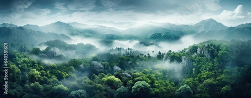 Rainforest © neirfy