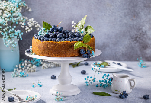 Sweet creamy blueberry cheesecake with fresh blueberries and whipped cream. French cuisine