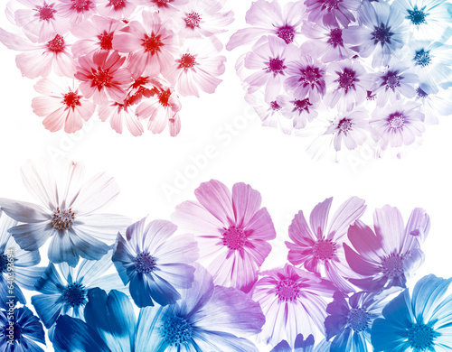 a beautiful floral background from flower petals
