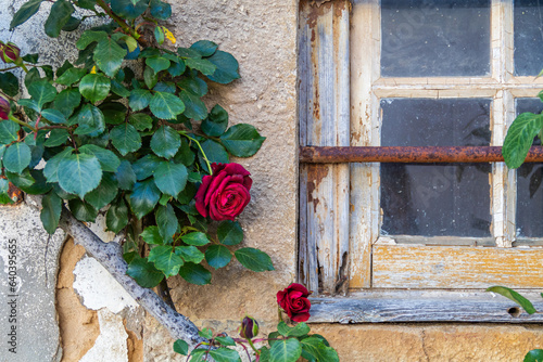 Traditional facade detail with window and flowers in Obidos village, Portugal