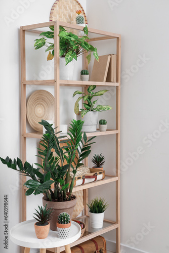 Shelving unit with decor and houseplants near white wall © Pixel-Shot