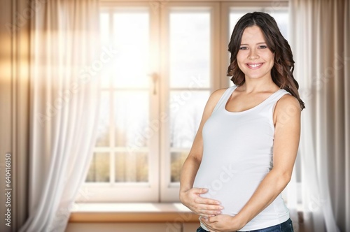 Free Download Happy smiling pregnant woman at home - GFXLoad