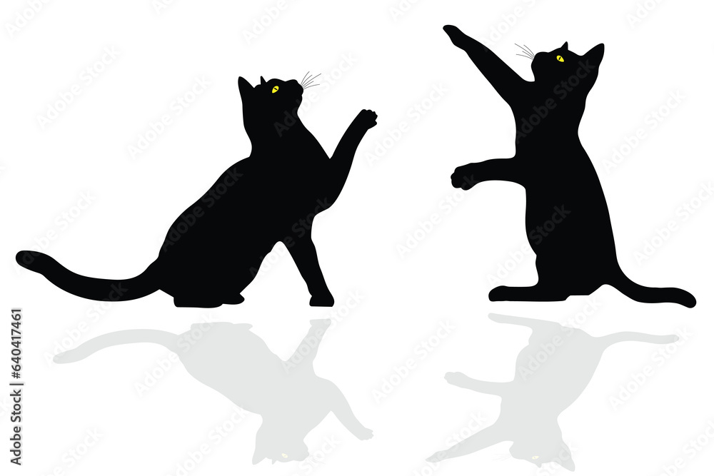 Cat Silhouette Vector. Cat Vector Illustration.