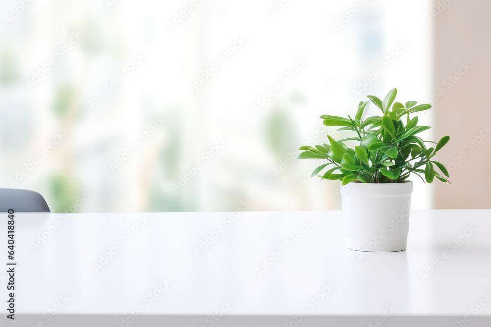 Modern working empty white desk with one green plant. plain white background and table top for mockups. Modern working empty white desk with one green plant. plain white background and table top for mockups.