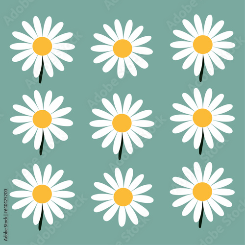 Immerse Yourself in the Vibrant World of Cartoon Illustrations with White Camomiles and Various White Daises: A Seamless Pattern Spring Set Collection with Hand-Drawn Elements.