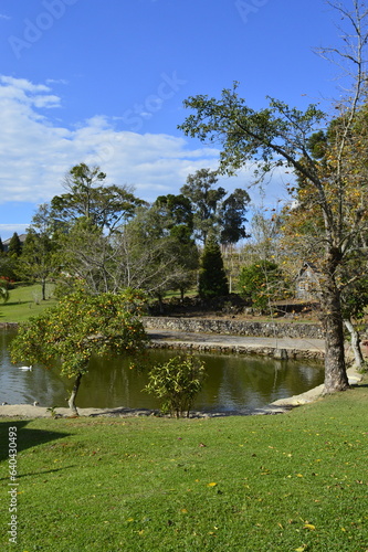 Paisagem de lago