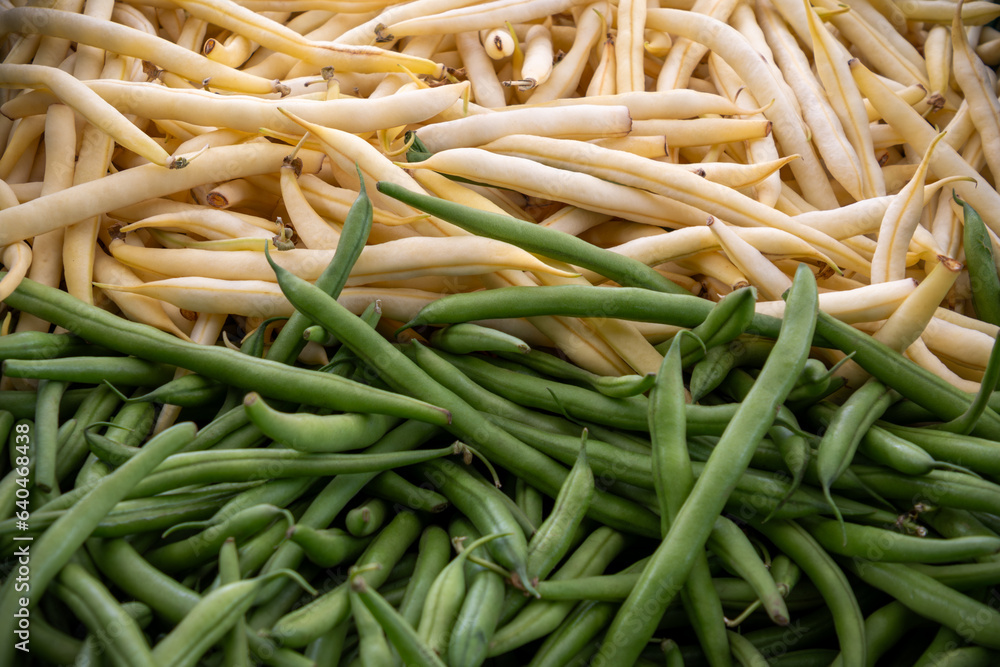 Brechbohnen als Hintergrund - obere Hälfte weiße Brechbohnen und untere Hälfte grüne Brechbohnen - Gemüse zum Verkauf am Marktstand Brechbohnen als Hintergrund - obere Hälfte weiße Brechbohnen und untere Hälfte grüne Brechbohnen - Gemüse zum Verkauf am Marktstand