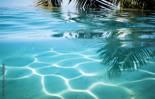 palm branch sky and azure water, ocean and vacation mine space islands wild beach summer sea vacation