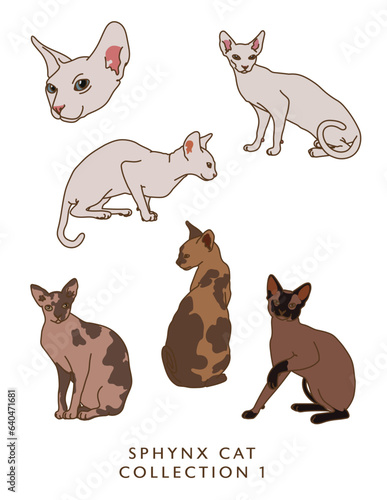 Sphinx Cat Illustrations in Color! Collection 1