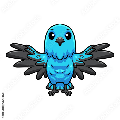 Cute spangled cotinga bird cartoon flying