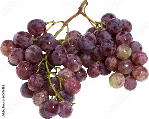 uvas, uvas moradas, uva roja, frutas, uva rosada, racimo de uvas photo
