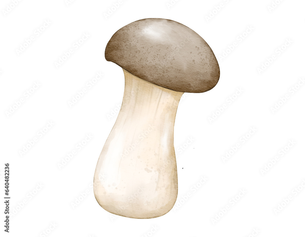 eringii mushroom watercolor illustration isolated element eringii mushroom watercolor illustration isolated element