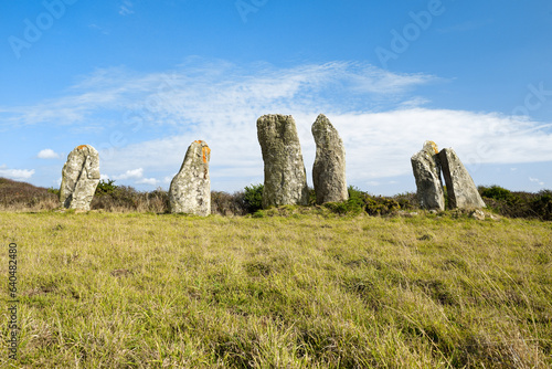 The massive prehistoric megalithic stone alignment standing stones of Vieux Moulin. Plouharnel, Brittany, France