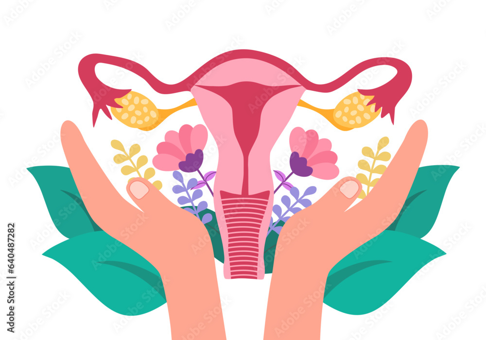Hands support female reproductive system womb and uterus. Care of